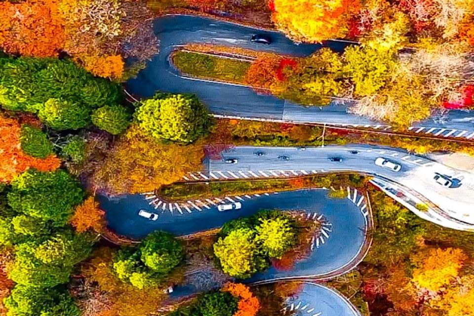 From Tokyo: Nikko Private Full-Day Sightseeing Day Trip - Booking and Preparation Essentials