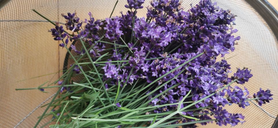 Hokkaido Nature and Gourmet Experience (near Lake Toya) - Booking and Refund Policies