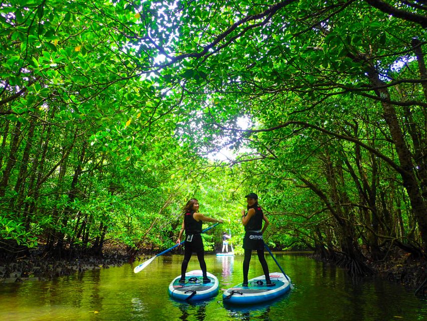 Iriomote Island: Kayaking and Canyoning Tour - Preparing for Your Adventure