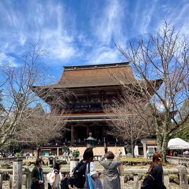 Kansai 10-Hour Chartered Day Trip｜Osaka City - Creating Your Ideal Osaka Itinerary