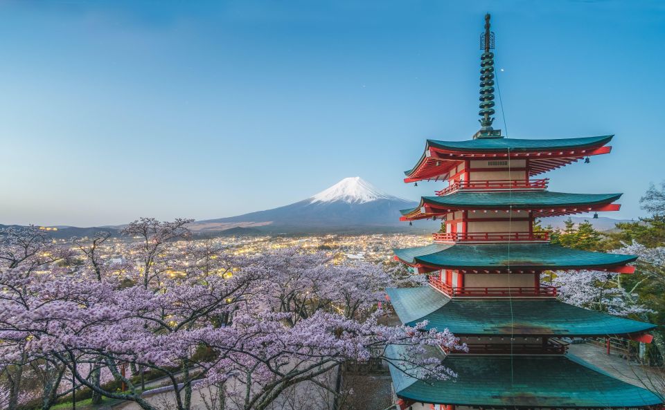 Mount Fuji and Hakone Full Day Private Tour - Essential Tour Information