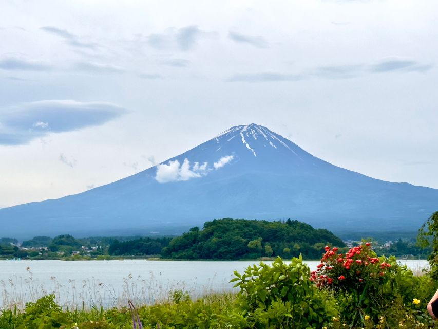 Mount Fuji Hakone With English-Speaking Guide - Booking and Cancellation Policies