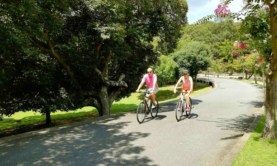 Nara: City Highlights Shared Group or Private Bike Tour - Meet Your Guide