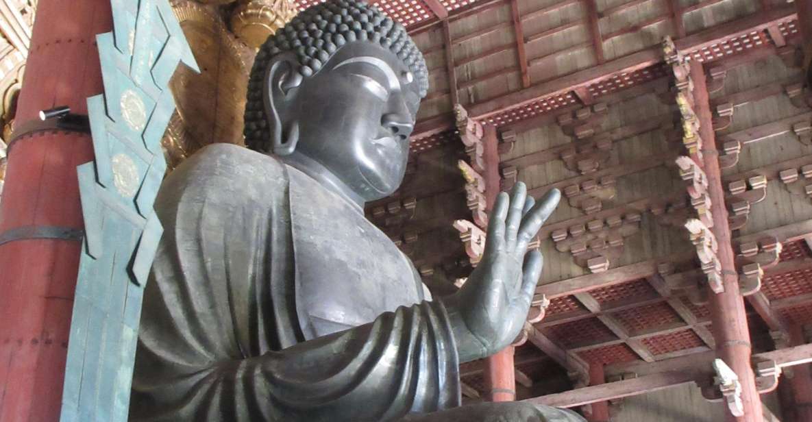 Nara: Giant Buddha, Deer Roaming Freely in the Park (Italian Guide) - Meeting Your Italian Guide