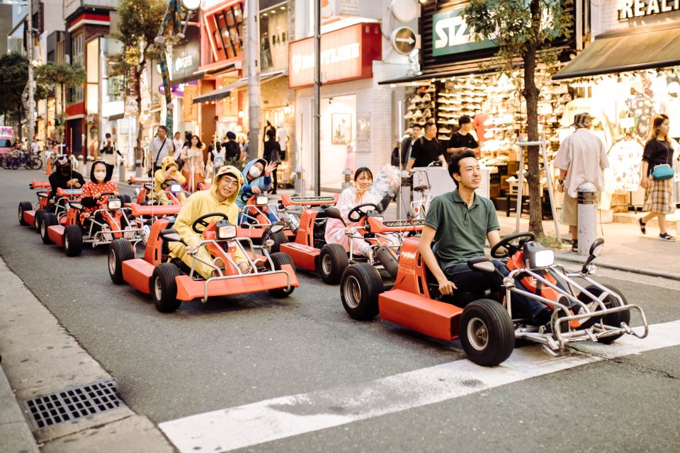 Osaka: Bespoke Family Friendly City Tour - Customizing Your Osaka Adventure