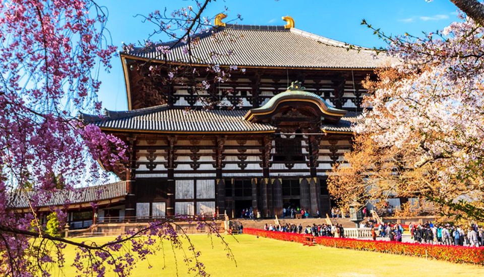 Osaka: Nara, Todaiji, Matcha Experience and Hot Spring Tour - Important Notes and Reminders
