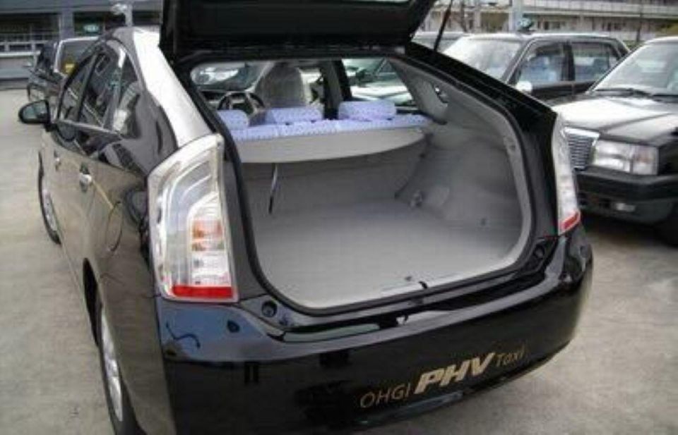 Tokyo Disney Land To/From Tokyo 23-Ward Private Transfer - Driver and Vehicle Information