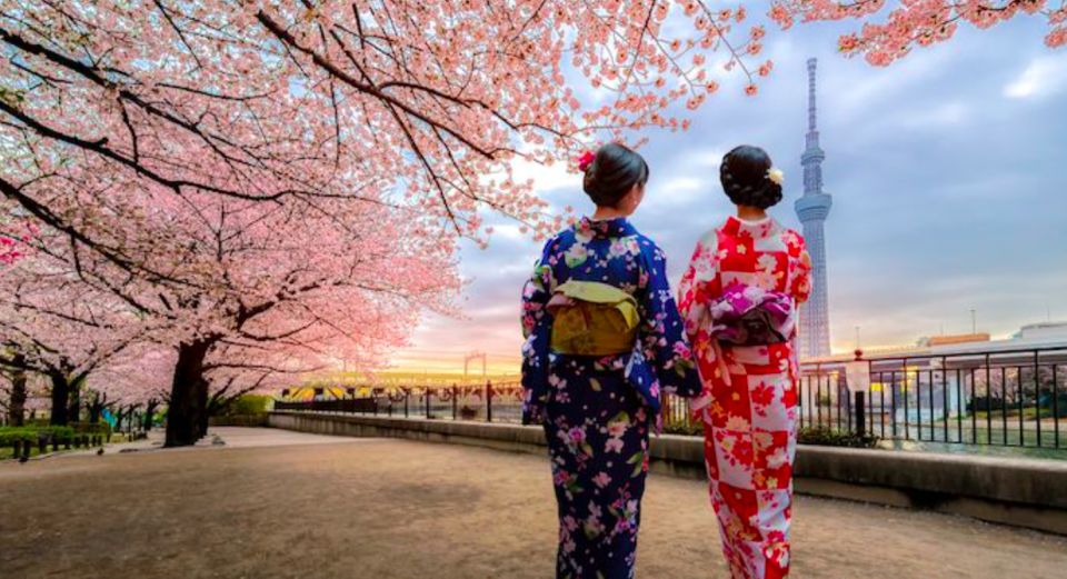 Tokyo: Full-Day Private Tour With English Guide - What to Expect on Your Tour