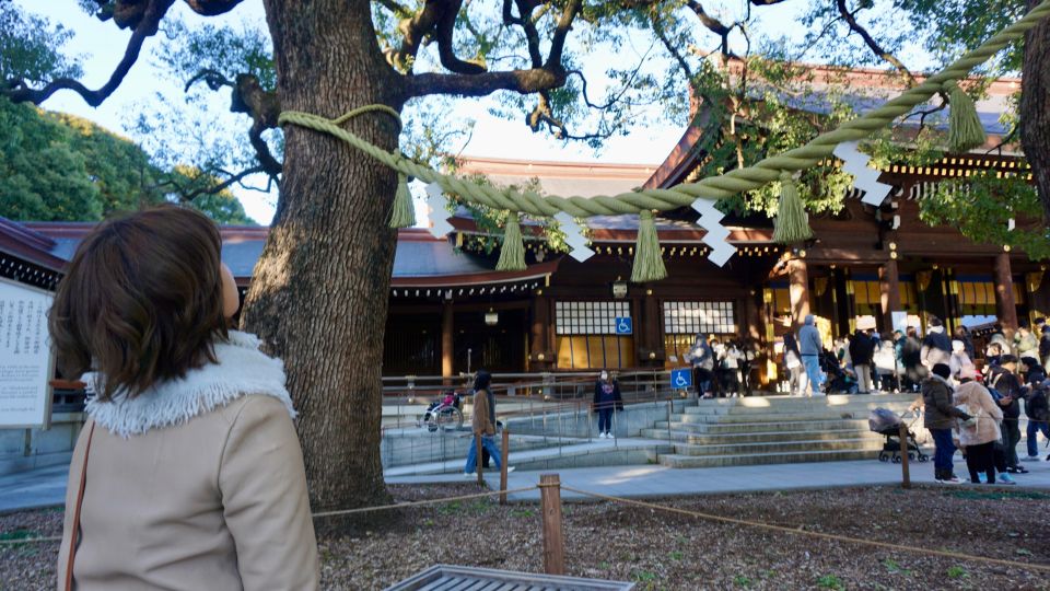 Tokyo Harajuku Meiji Shrine 1h Walking Explanation Tour - Tour Pricing and Cancellation Policy