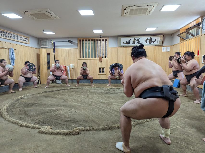Tokyo: Morning Sumo Practice Viewing - The Culture of Sumo Wrestling