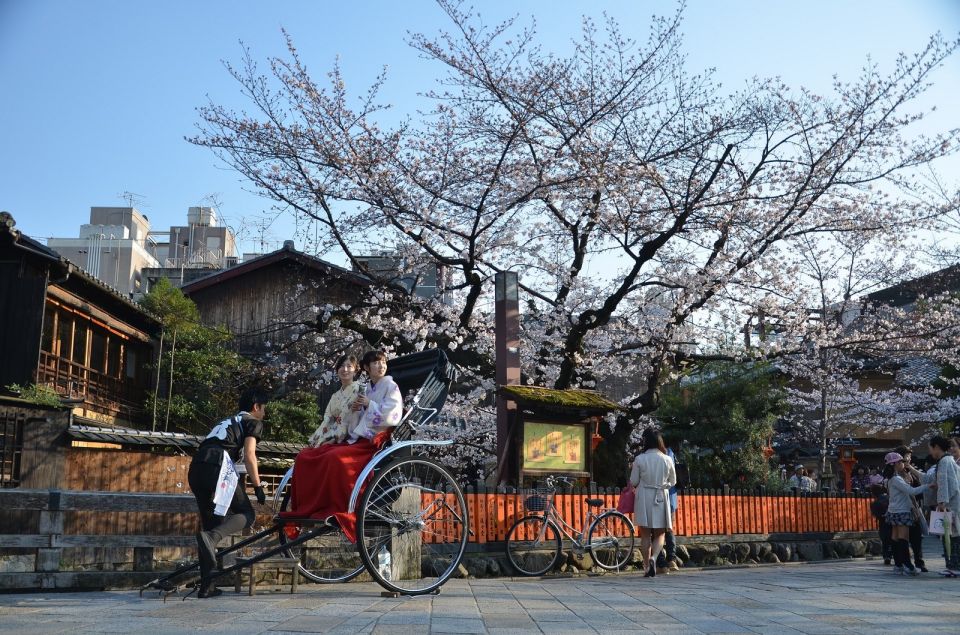 Tokyo: Private Cherry Blossom Experience - Reviews From Our Satisfied Clients