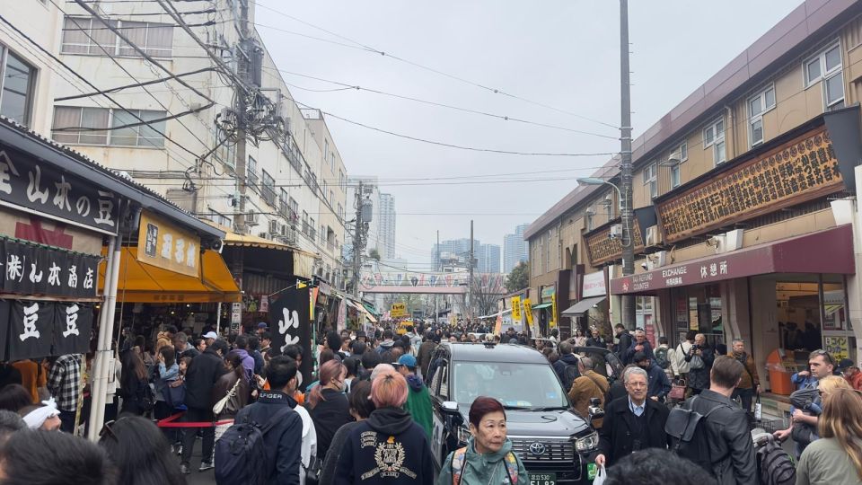 Tokyo: Private City Tour With Hotel Pickup and Drop-Off - Reviews From Past Travelers