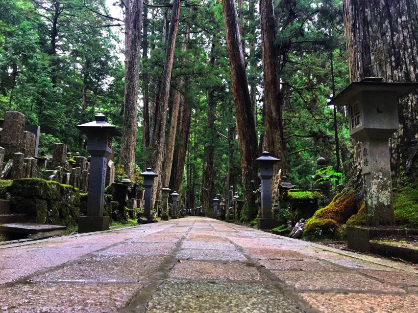 Wakayama: Mt. Koya Private Walking Tour With Local Guide - Meeting Point and Transportation