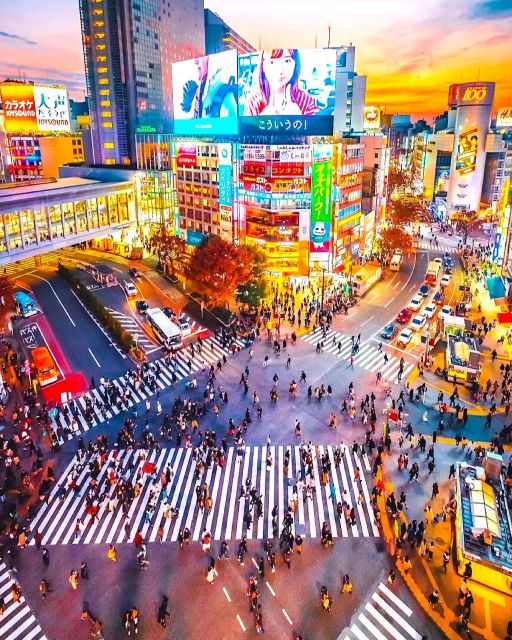 1 Day Tokyo Private Charter Sightseeing Tour With Guide - Final Words