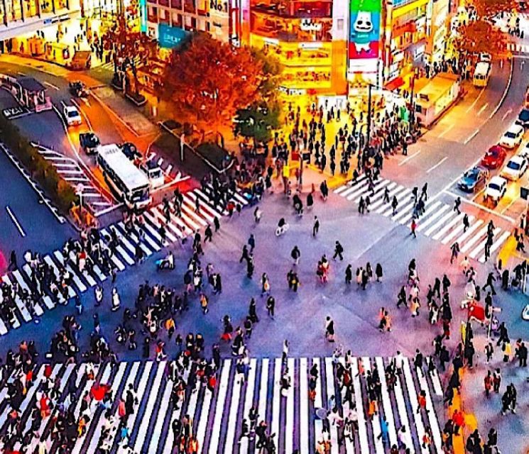 2-Day Private Tokyo MT Fuji and Hakone Tour With Guide - Final Words