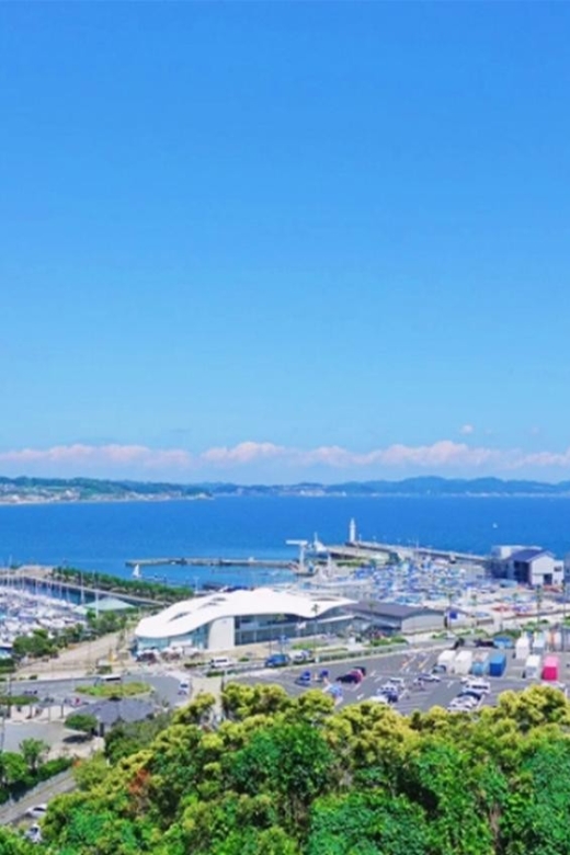 From Tokyo: Kamakura, Hasedera Temple and Enoshima Day Trip - Enoshima Island and Shonan Coast