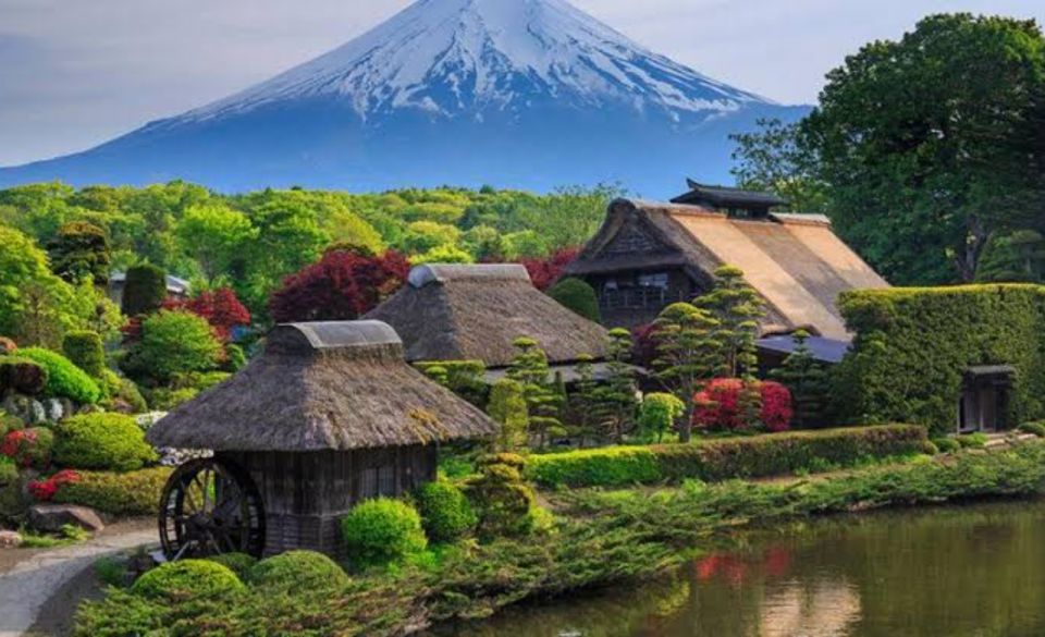 From Tokyo: Mount Fuji Full Day Private Tours English Driver - Final Words