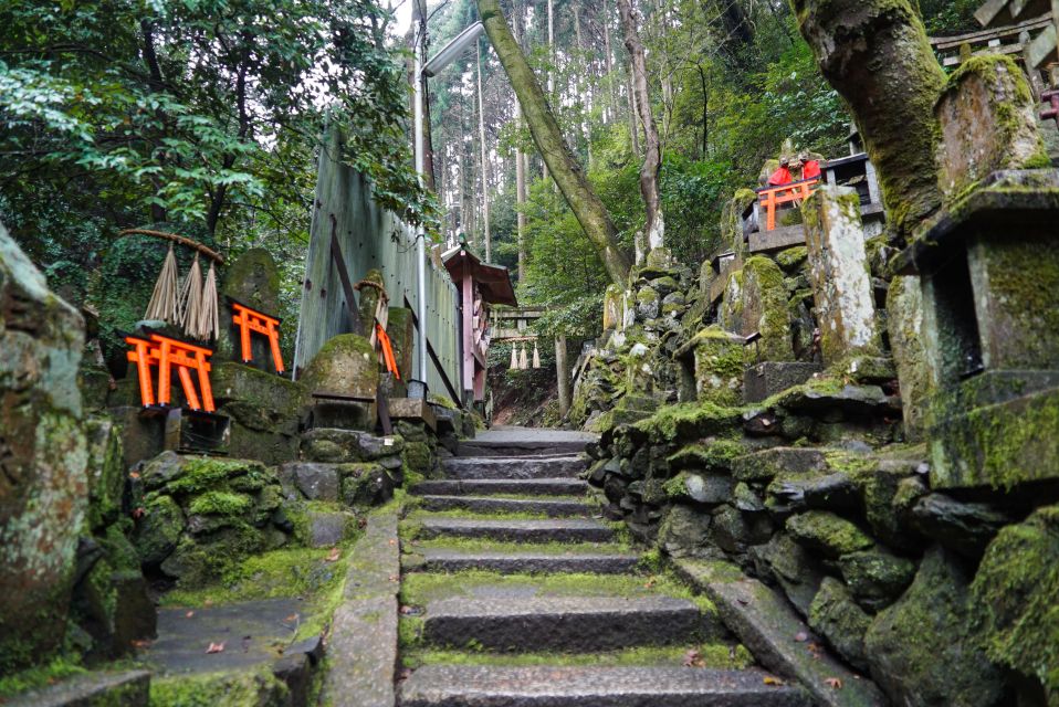 Kyoto: 3-Hour Fushimi Inari Shrine Hidden Hiking Tour - Weather and Cancellation Policies