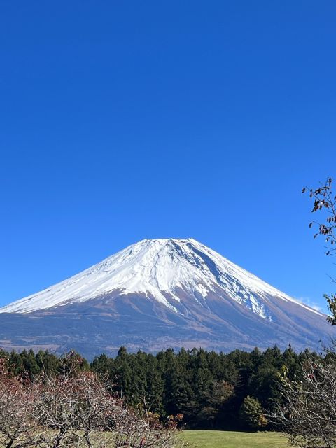 Mt. Fuji: 2-Day Climbing Tour - Final Words