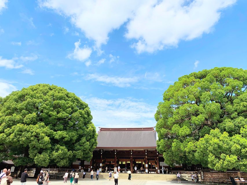 Tokyo: 1-Day Tokyo Private Tailor-made Tour - What to Expect on the Tour