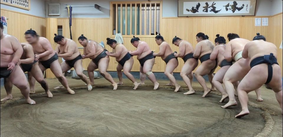 Tokyo: Morning Sumo Practice Viewing - A Unique Tokyo Adventure Awaits