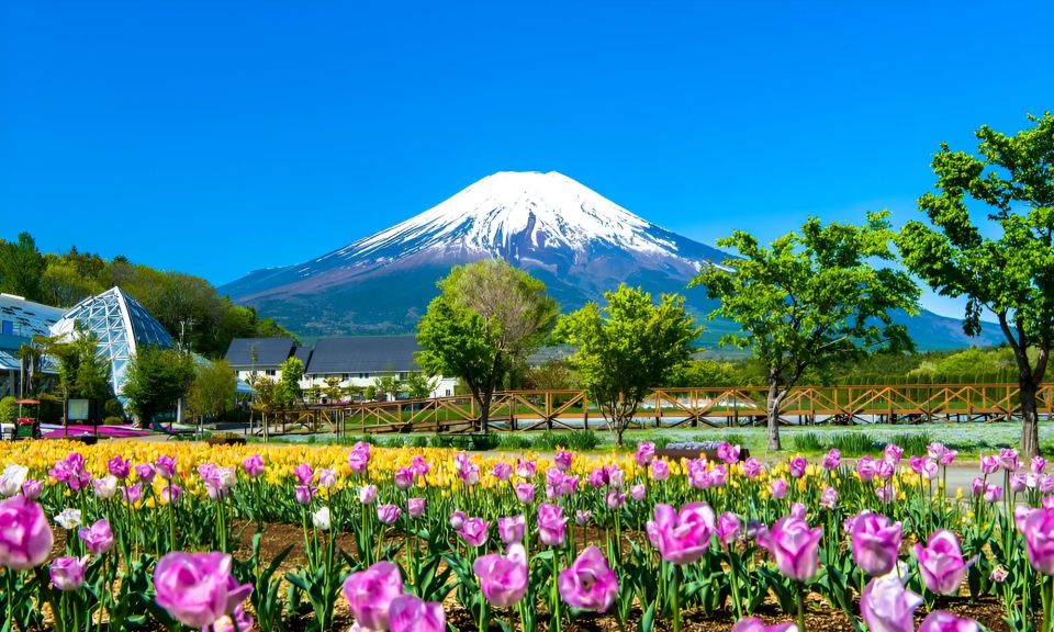 Tokyo: Mt. Fuji Festival, Ropeway, & Fruit Picking Day Trip - Last-Minute Preparations and Reminders