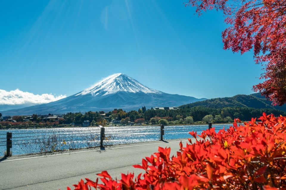 Tokyo: Mt. Fuji, Lake Kawaguchi,Lake Yamanaka,Onsen Day Tour - Final Words
