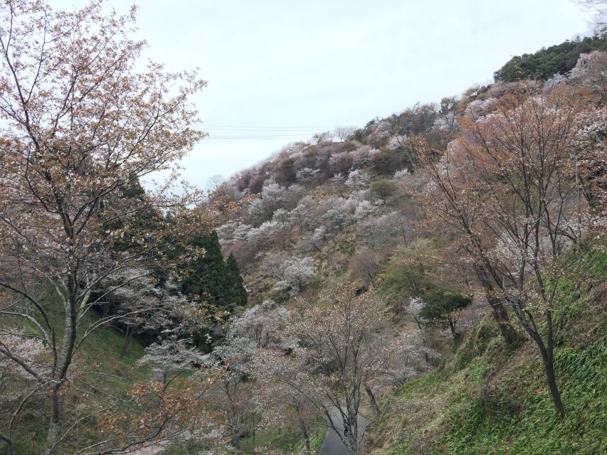 Yoshino: Private Guided Tour & Hiking in a Japanese Mountain - Final Words