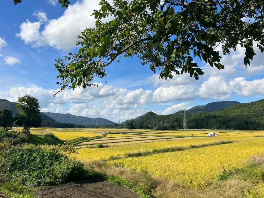 Driving Support in Akita - Just The Basics