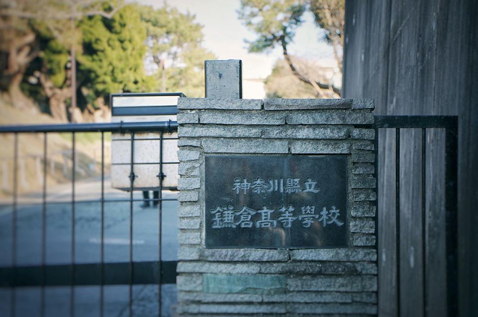 From Tokyo: Kamakura, Hasedera Temple and Enoshima Day Trip - Just The Basics