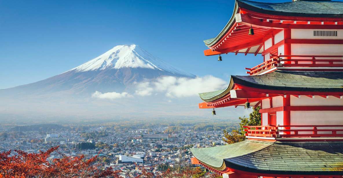 From Tokyo: Mt Fuji and Hakone Customizable Private Day Trip - Just The Basics